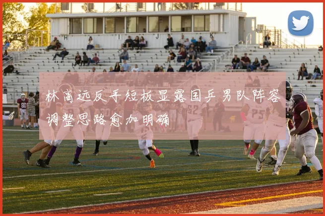 林高远反手短板显露国乒男队阵容调整思路愈加明确