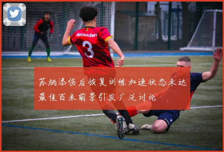 苏炳添伤后恢复训练加速状态未达最佳百米前景引发广泛讨论